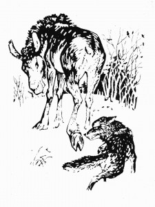 Волк и лосенок